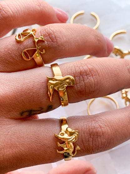 Zodiac Ring
