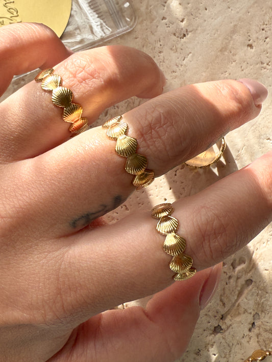 Shell