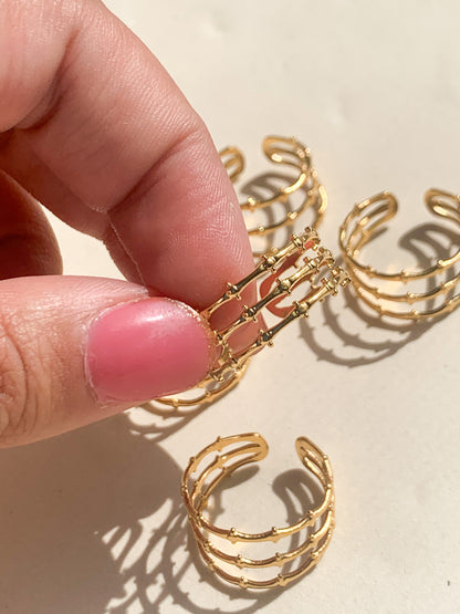 Isel Ring