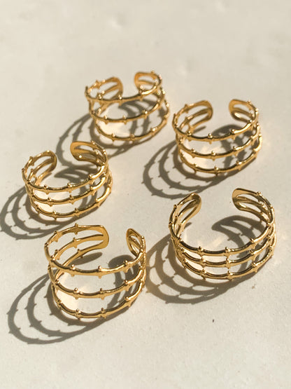 Isel Ring